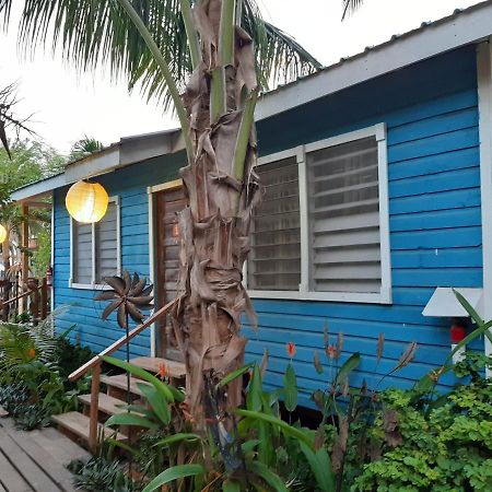 The Funky Dodo Backpackers Hostel ฮอปกินส์ ภายนอก รูปภาพ