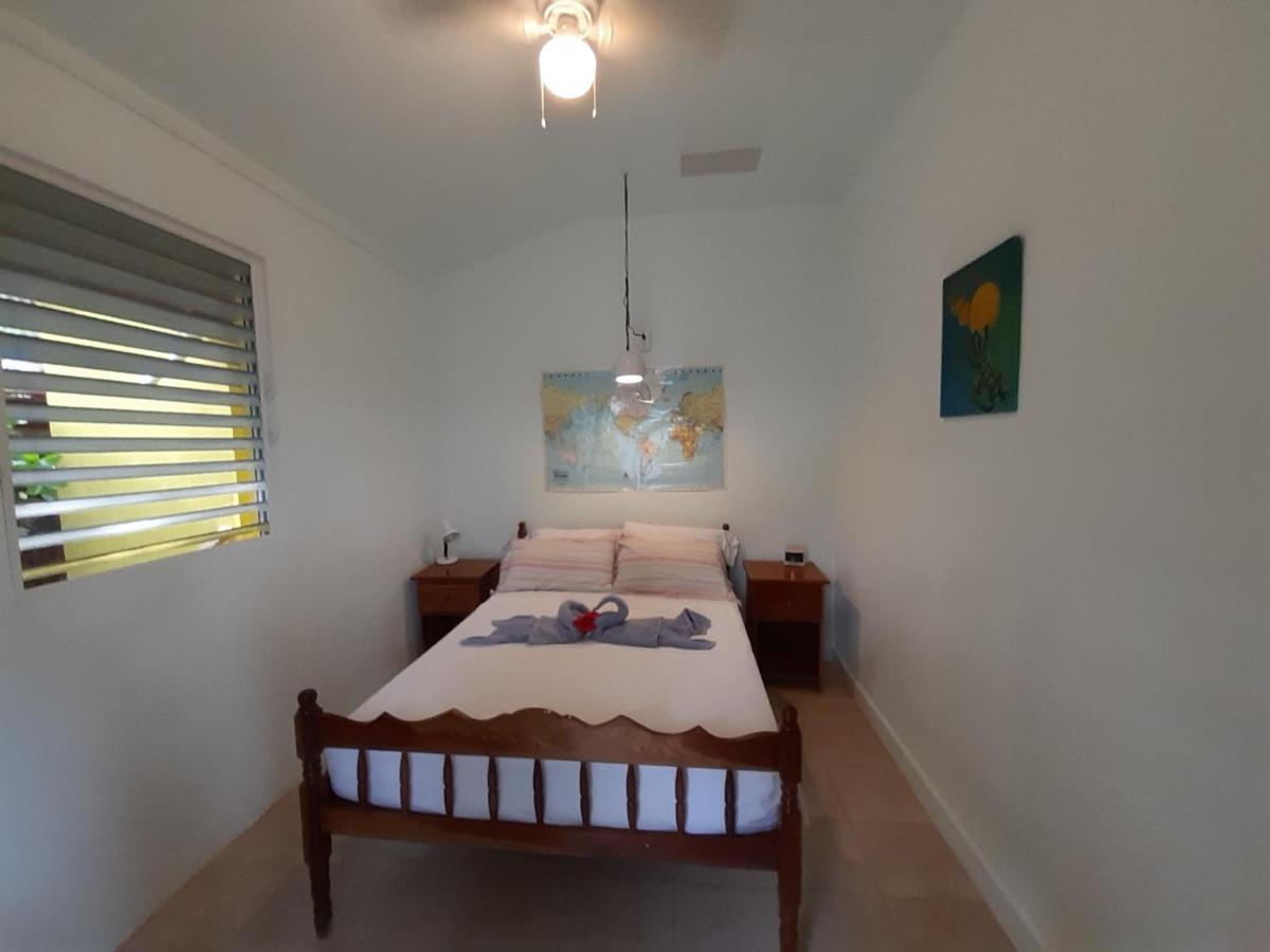 The Funky Dodo Backpackers Hostel ฮอปกินส์ ภายนอก รูปภาพ