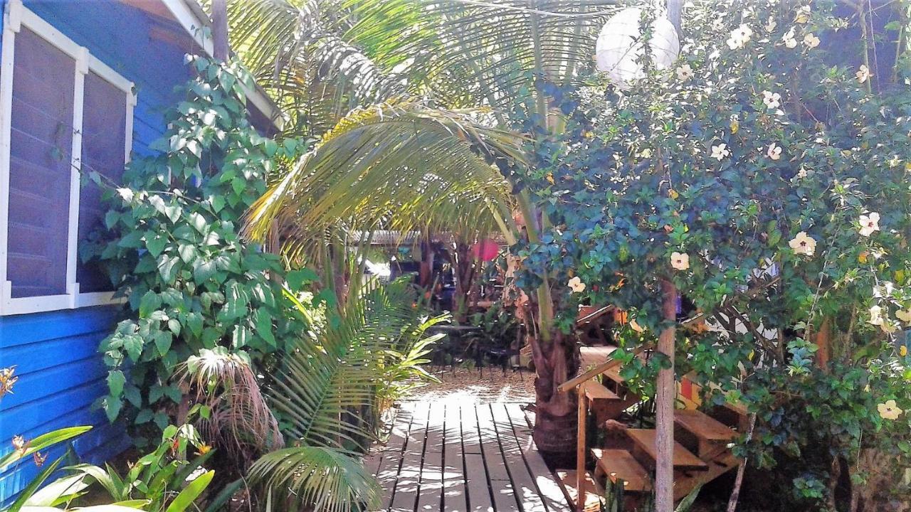 The Funky Dodo Backpackers Hostel ฮอปกินส์ ภายนอก รูปภาพ