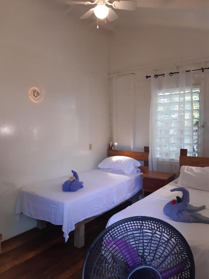 The Funky Dodo Backpackers Hostel ฮอปกินส์ ภายนอก รูปภาพ