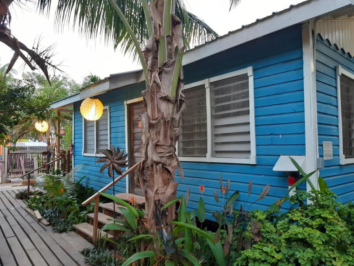 The Funky Dodo Backpackers Hostel ฮอปกินส์ ภายนอก รูปภาพ