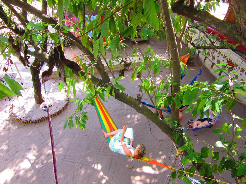 The Funky Dodo Backpackers Hostel ฮอปกินส์ ภายนอก รูปภาพ