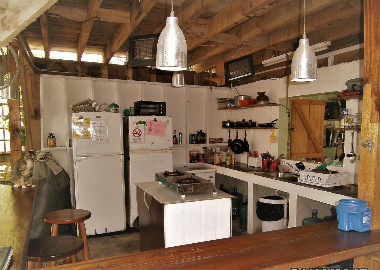 The Funky Dodo Backpackers Hostel ฮอปกินส์ ภายนอก รูปภาพ