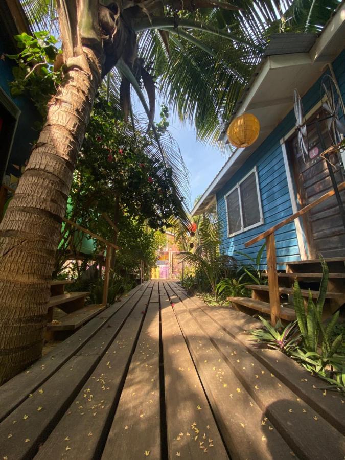 The Funky Dodo Backpackers Hostel ฮอปกินส์ ภายนอก รูปภาพ
