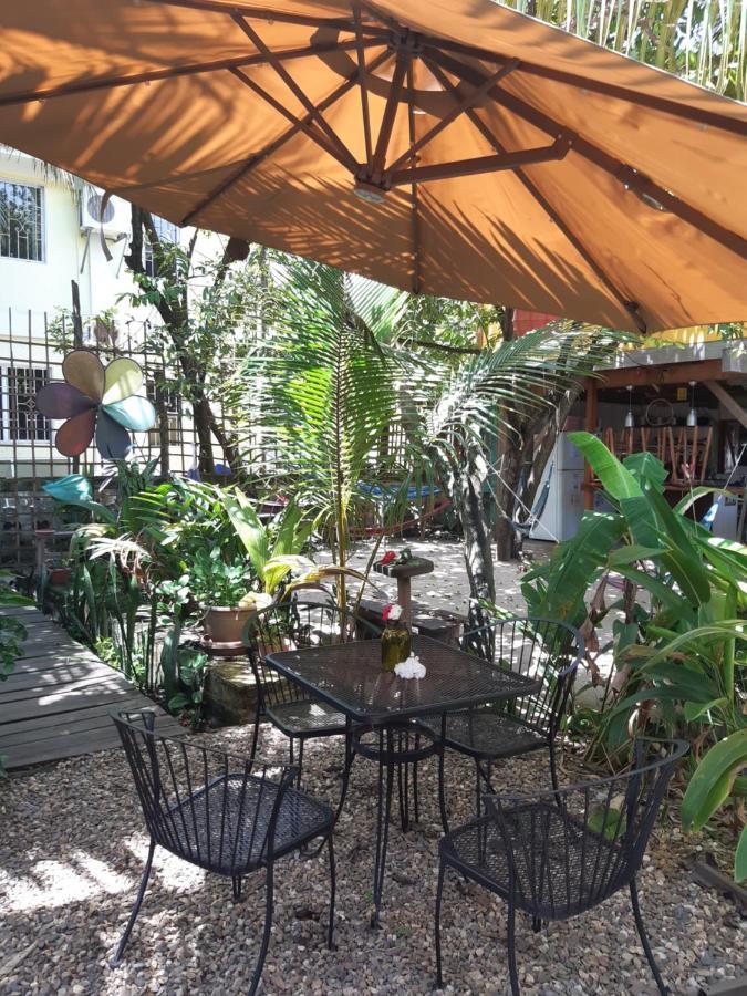 The Funky Dodo Backpackers Hostel ฮอปกินส์ ภายนอก รูปภาพ
