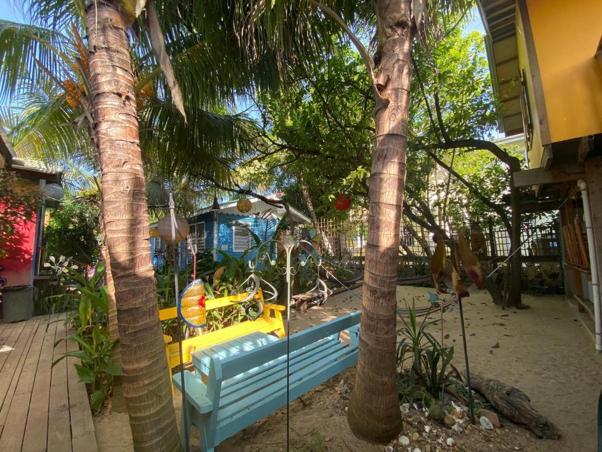 The Funky Dodo Backpackers Hostel ฮอปกินส์ ภายนอก รูปภาพ