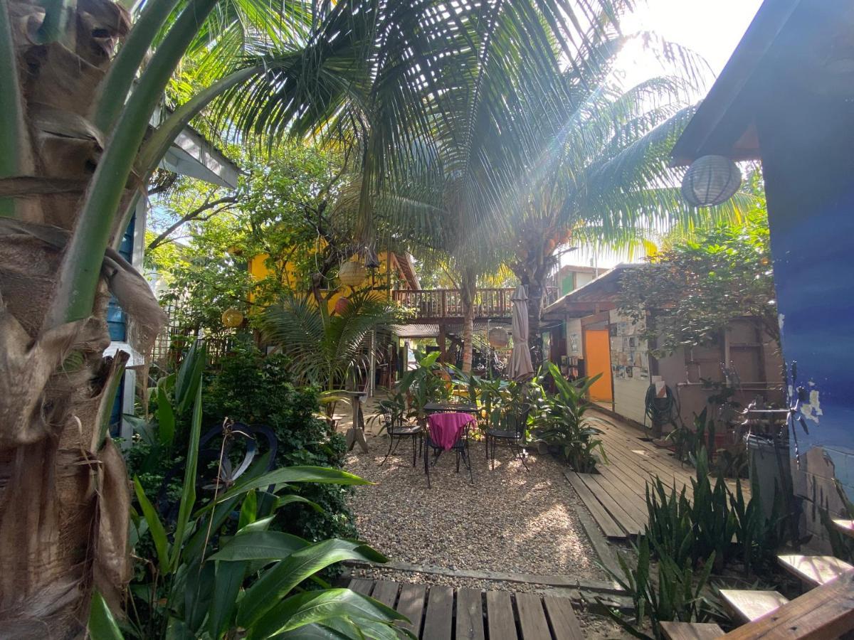 The Funky Dodo Backpackers Hostel ฮอปกินส์ ภายนอก รูปภาพ