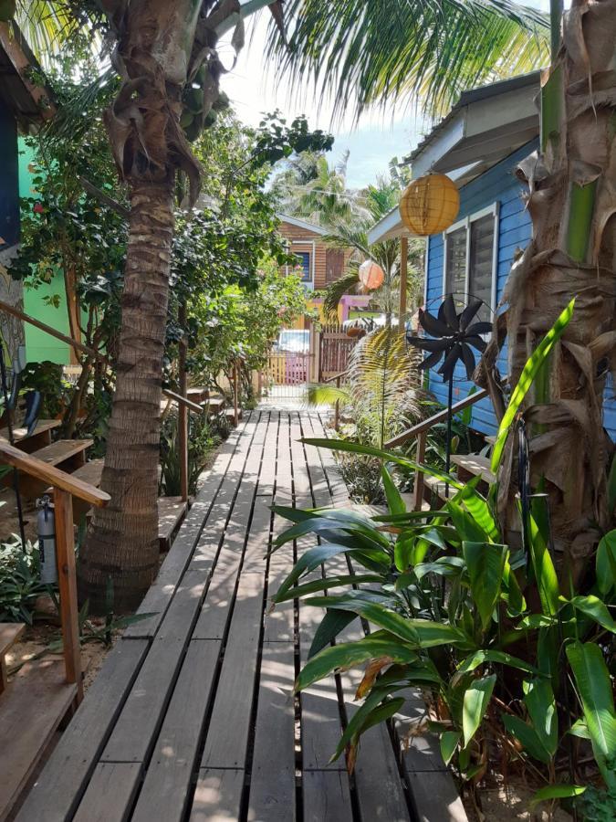 The Funky Dodo Backpackers Hostel ฮอปกินส์ ภายนอก รูปภาพ