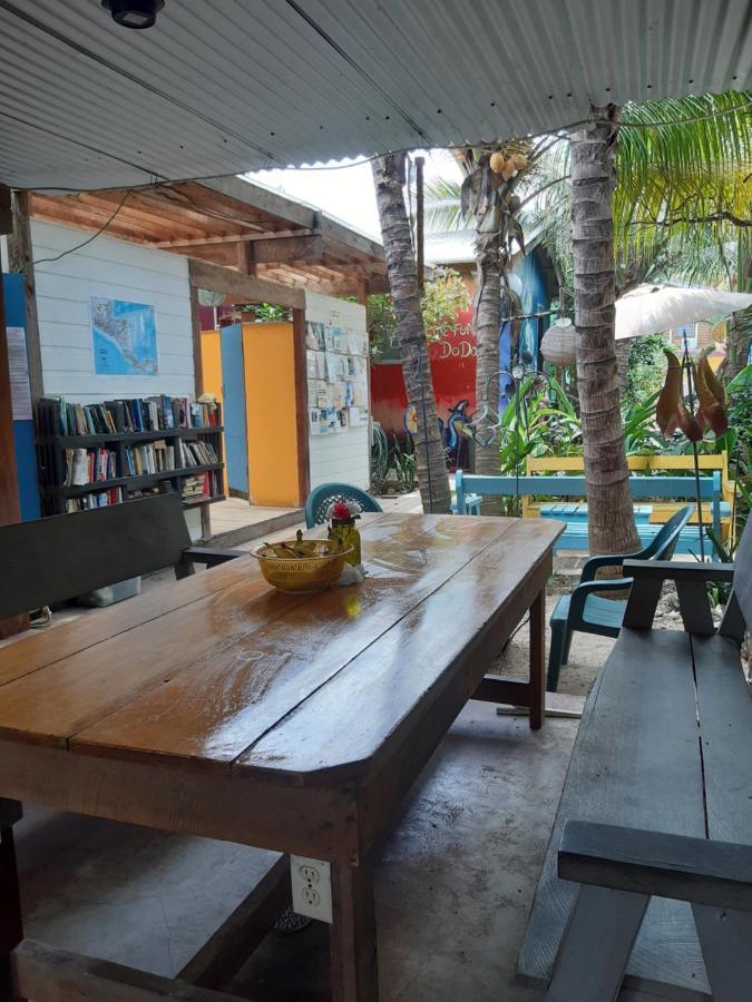The Funky Dodo Backpackers Hostel ฮอปกินส์ ภายนอก รูปภาพ