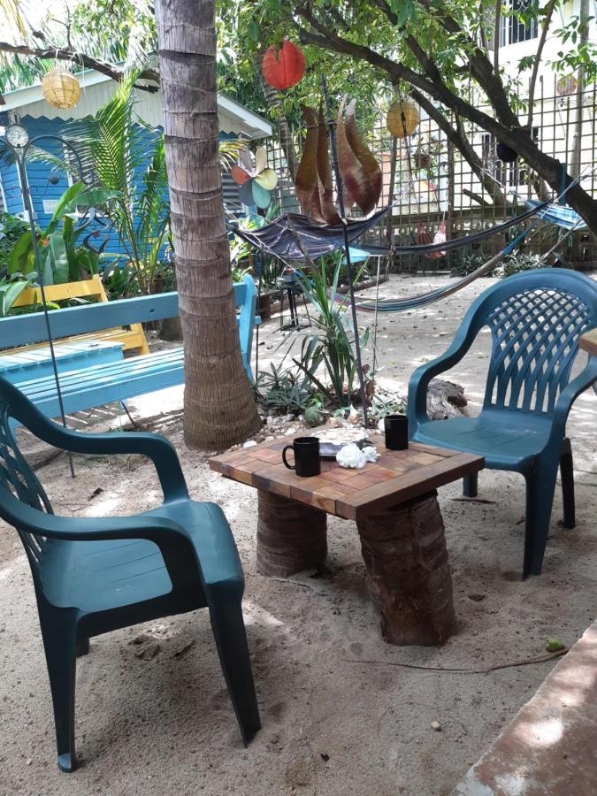 The Funky Dodo Backpackers Hostel ฮอปกินส์ ภายนอก รูปภาพ