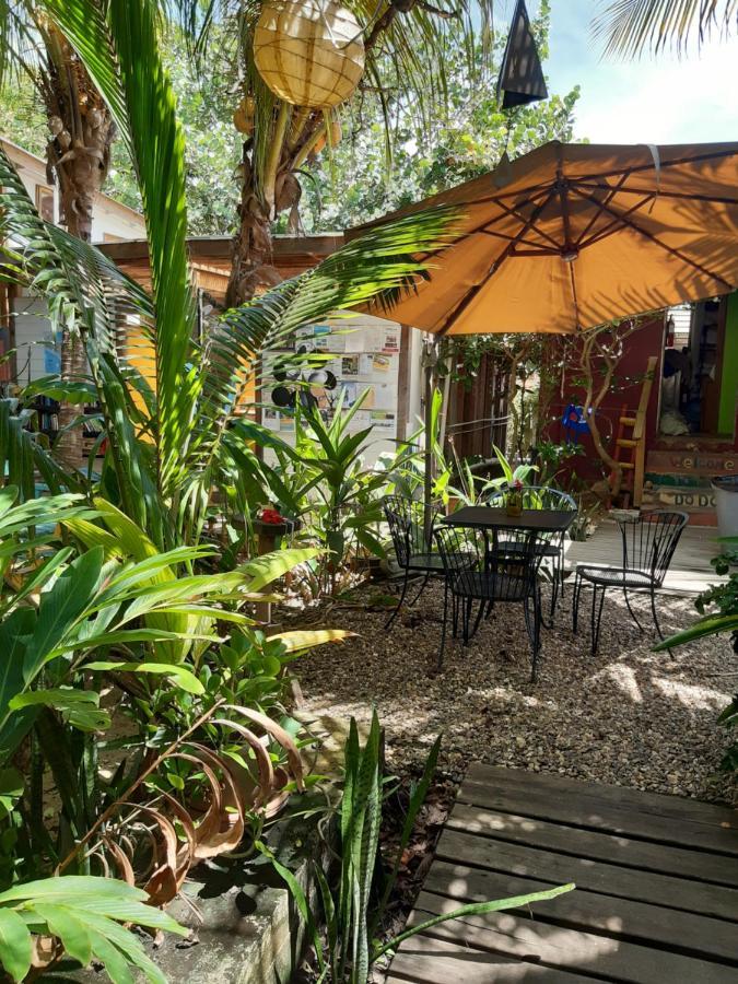 The Funky Dodo Backpackers Hostel ฮอปกินส์ ภายนอก รูปภาพ